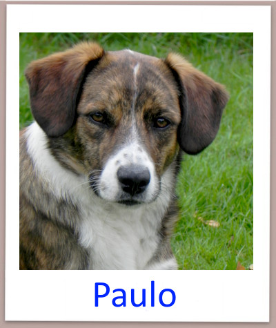 Paulo prof n