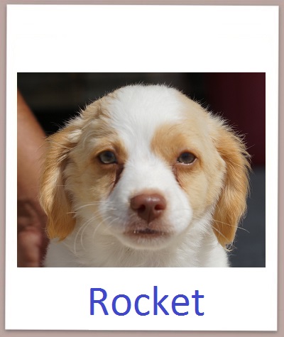 Rocket prof