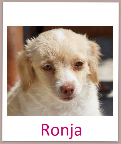 Ronja prof
