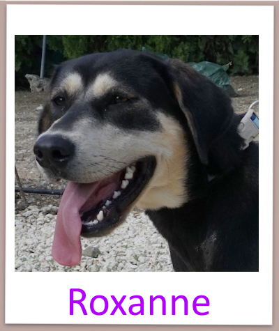 Roxanne prof