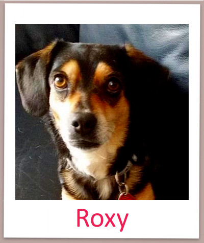 Roxy prof n