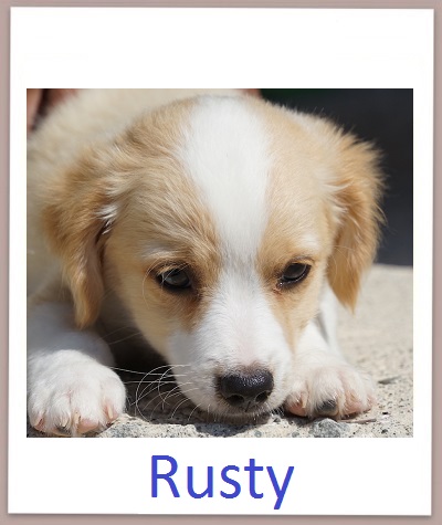 Rusty prof