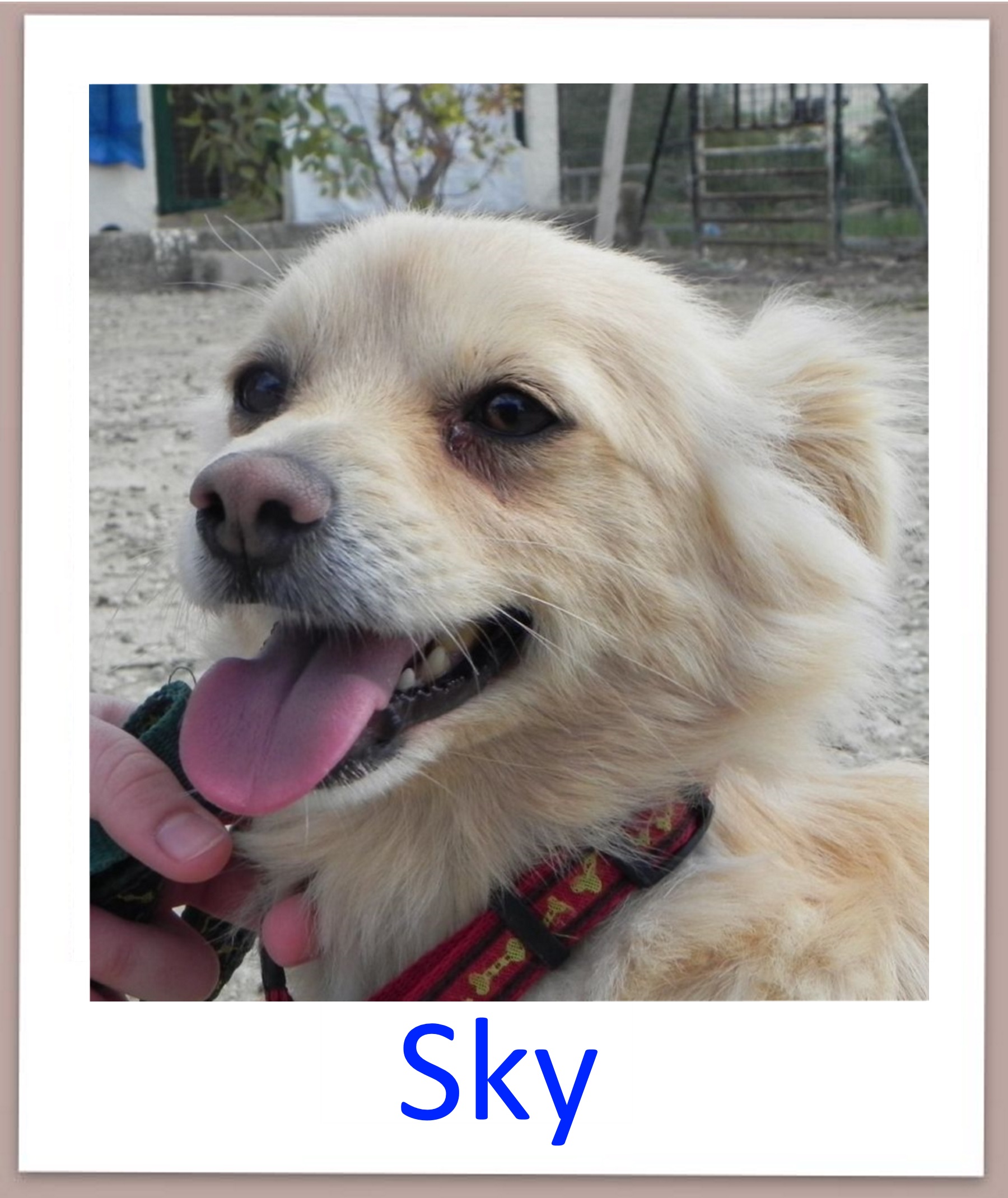 Sky Profil