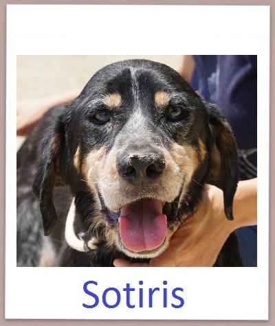 Sotiris prof