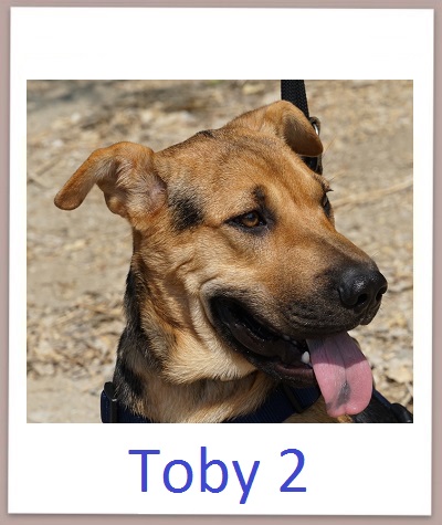 Toby2 prof