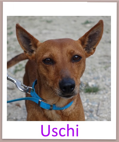 Uschi prof