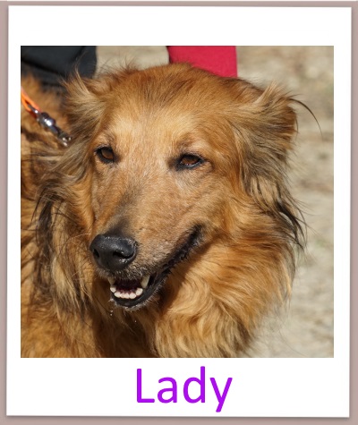 lady prof