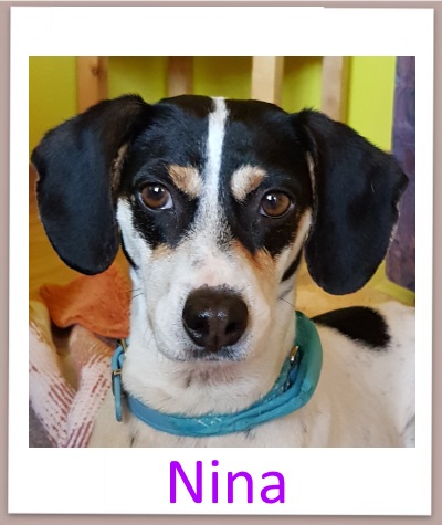nina prof1