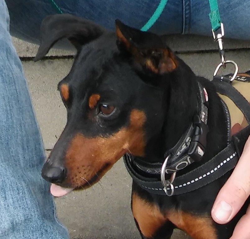 Bild4
