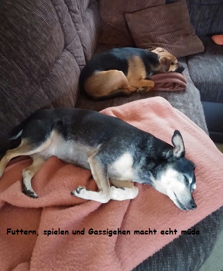 Lubeck9