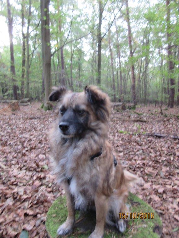 Bild3