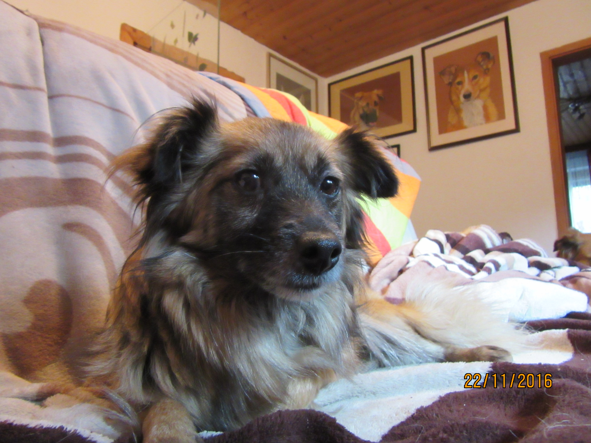 Bild3