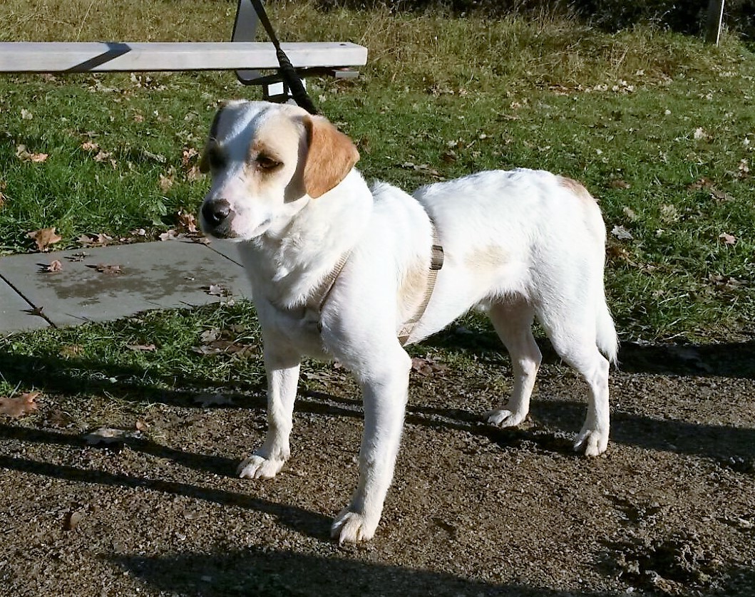 Bild1