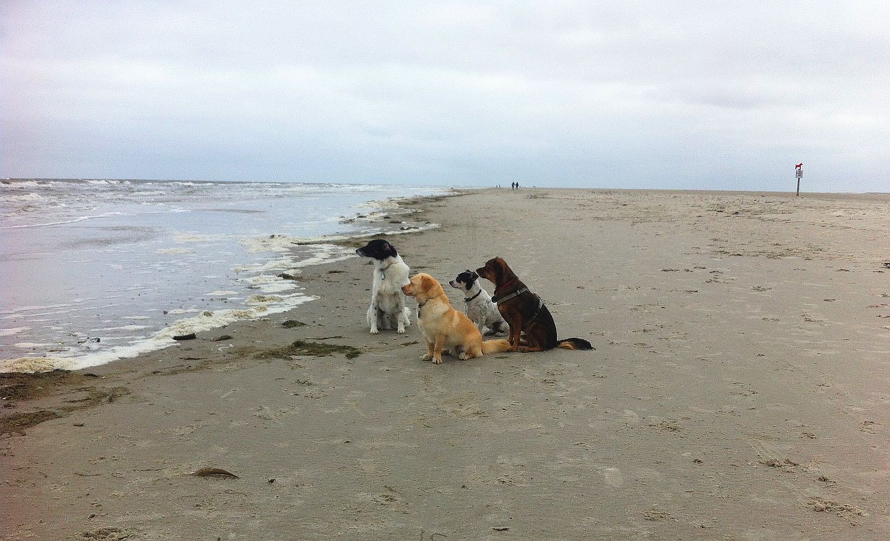 Urlaubsgrüße Nordsee 02