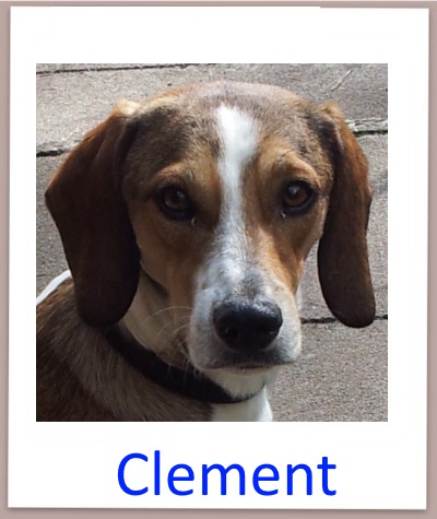 clement prof