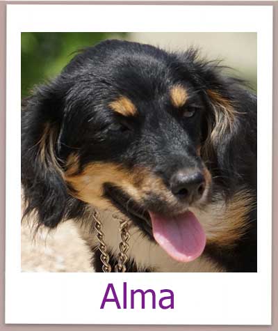 Alma prof