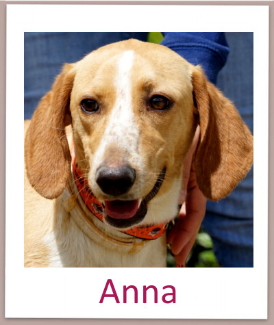 Anna prof
