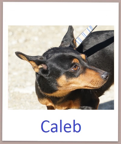 Caleb prof