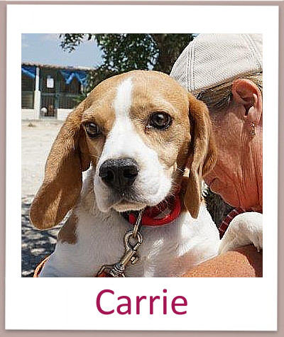 Carrie prof