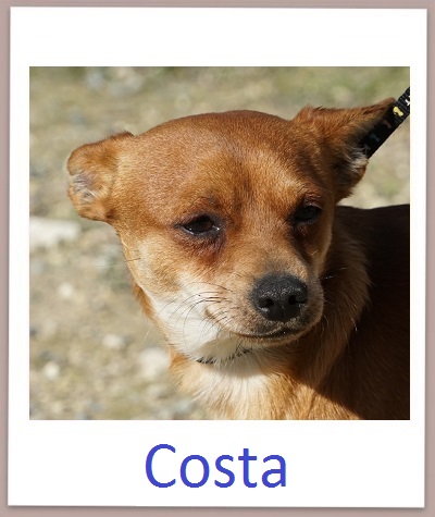 Costa prof
