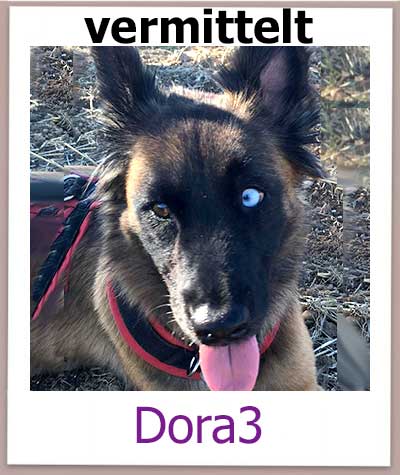 Dora3 hat ihre Familie in Deutschland gefunden.