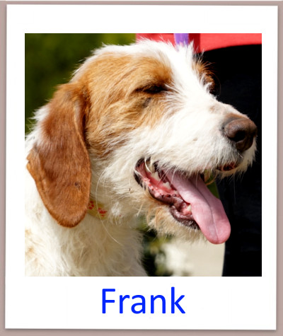 Frank prof