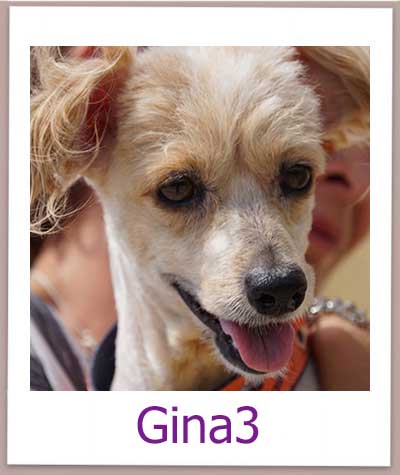 Gina3 prof