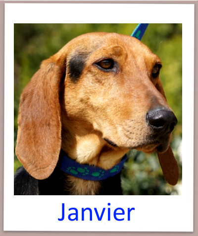 Janvier Prof