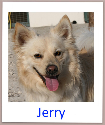 Jerry prof