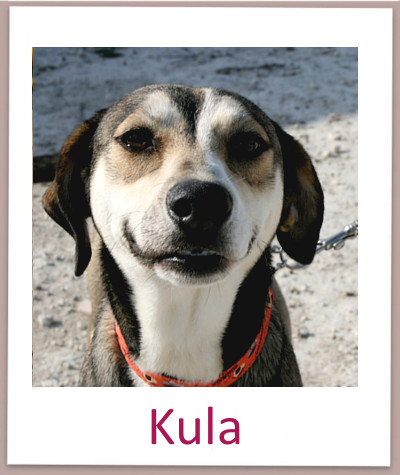 Kula prof
