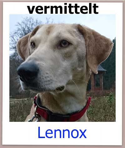Lennox aus Zypern hat seine Familie in Deutschland gefunden.