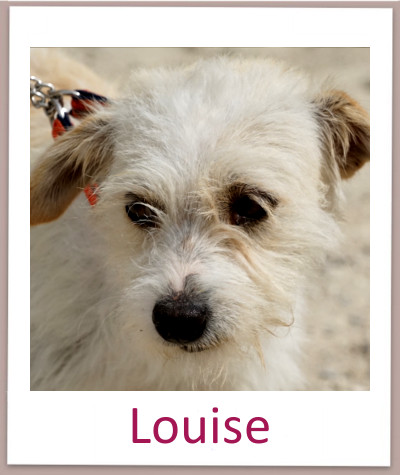 Louise prof
