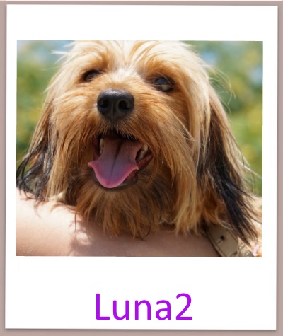 Luna2 prof