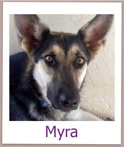 Myra prof neu