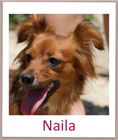 Naila prof