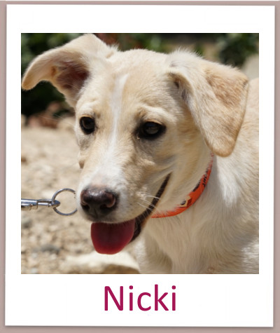 Nicki prof