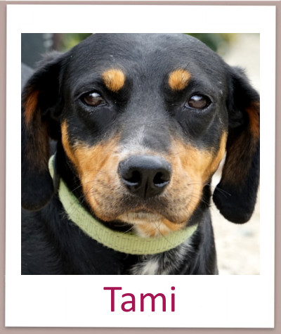 Tami prof