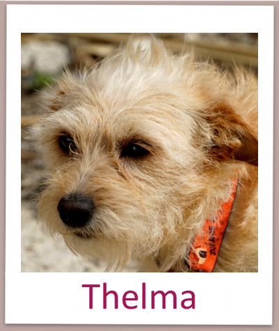 Thelma prof