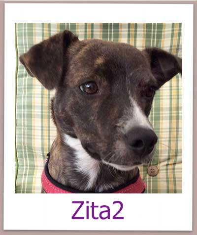 Zita2 prof neu