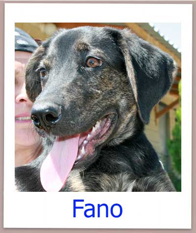 fano prof