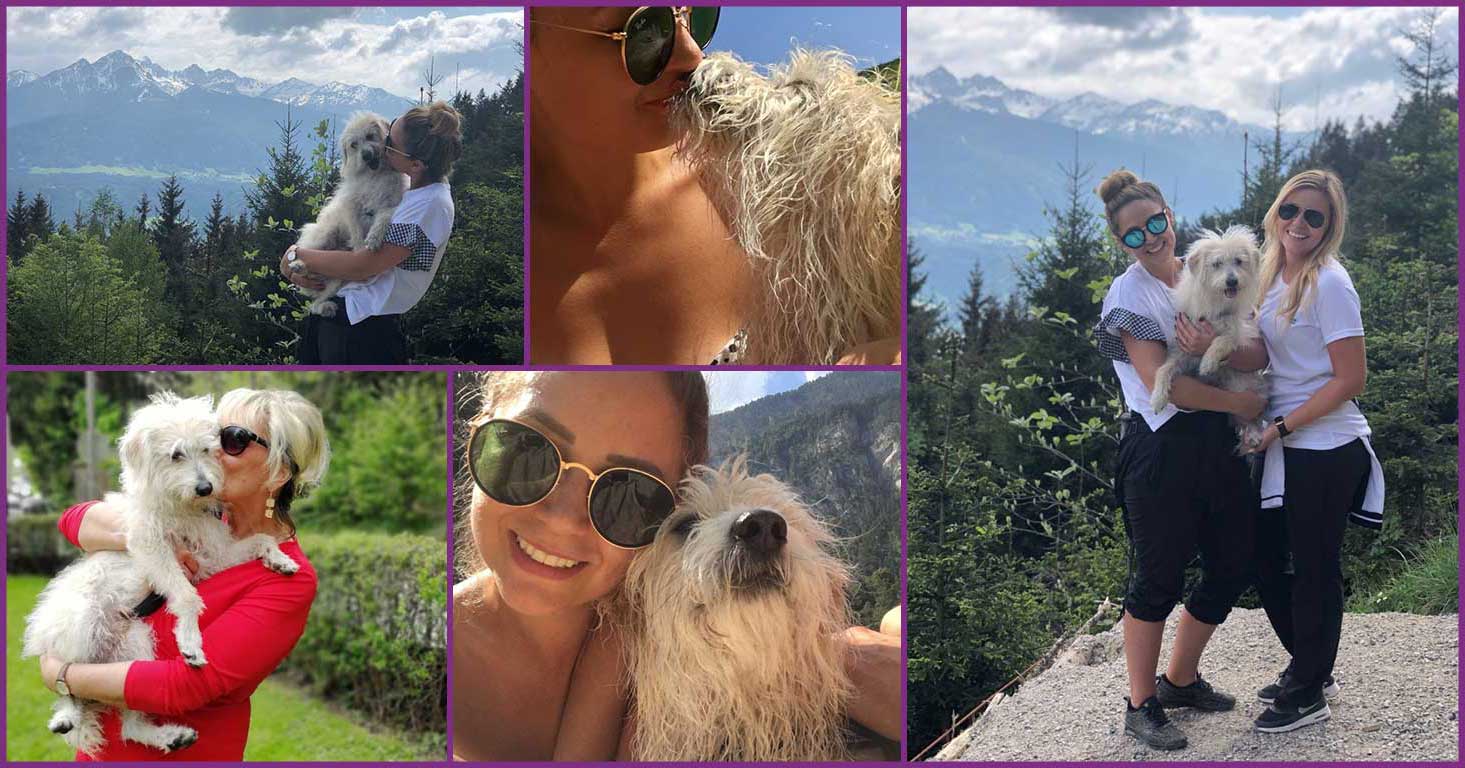 Pudel-Mix Mexx und sein leben als Familienhund.