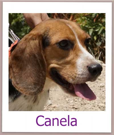 Canela hat ihre Familie in Deutschland gefunden.