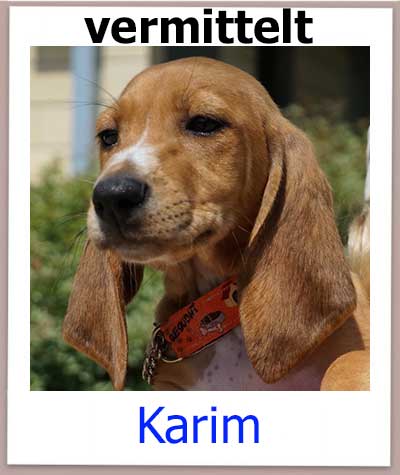 Karim hat seine Familie in Deutschland gefunden.