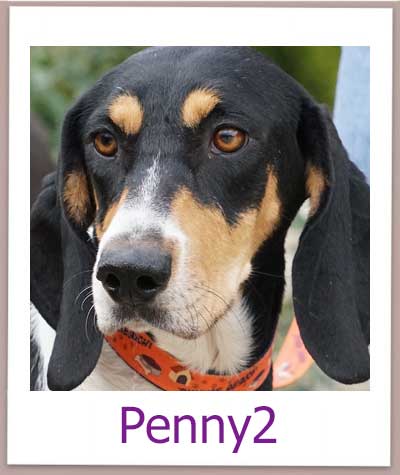 Penny2 prof
