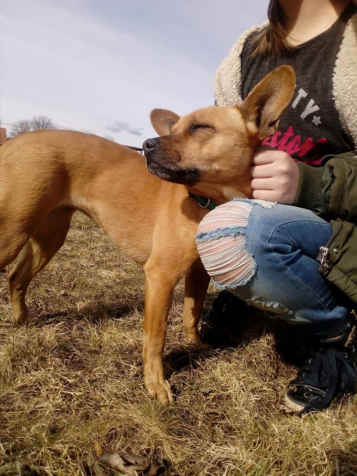 Erina kommt aus dem Tierheim auf Zypern und sucht eine Familie.