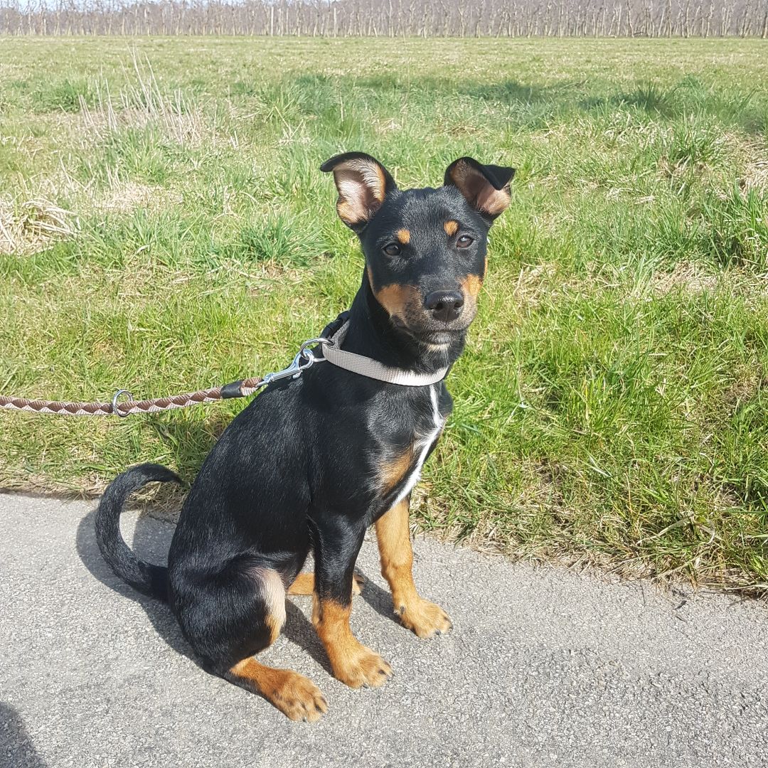 Glückspfote Luana sendet Grüße.