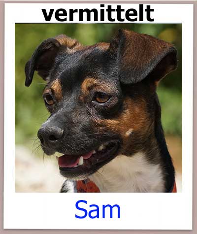 Sam hat seit 01.11.2019 seine Familie in Deutschland gefunden.