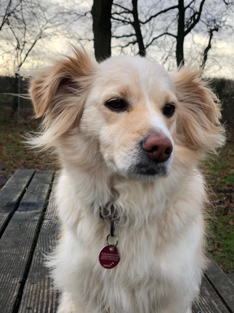 Cane Update Januar 2022 001