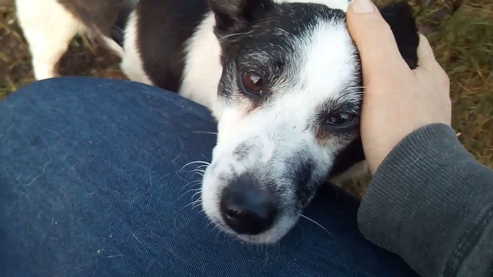 Chester 08