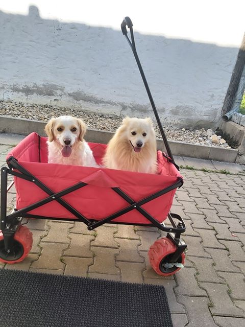 Loui HappyEnd 05